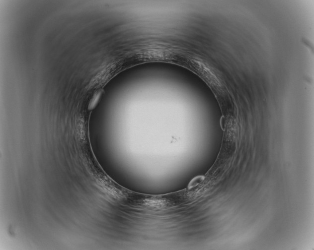 X0000098050457200804071512