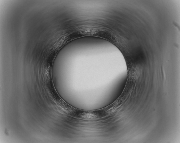 X0000098050460200804071512