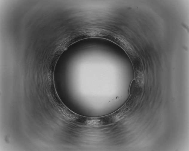 X0000098050461200804071512