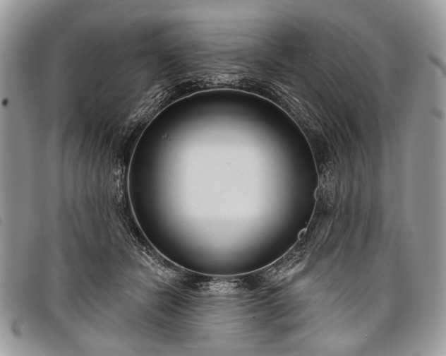 X0000098050462200804071512