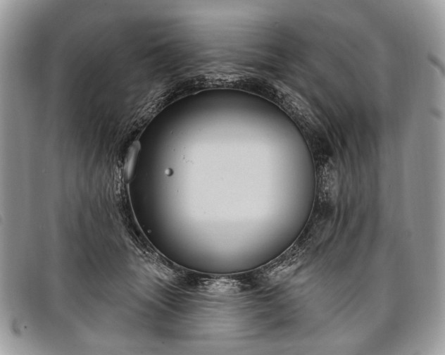 X0000098050463200804071512