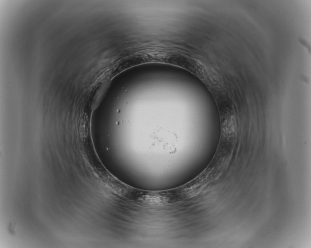 X0000098050464200804071512