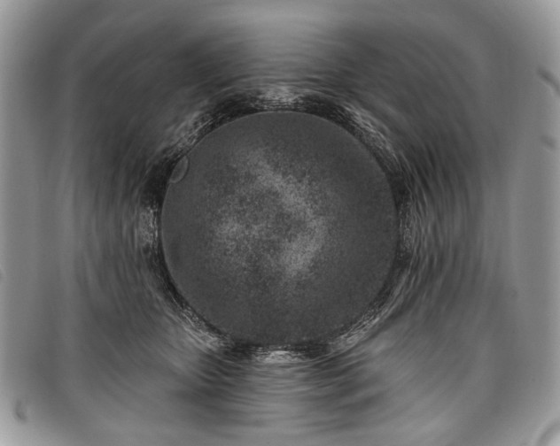 X0000098050467200804071512