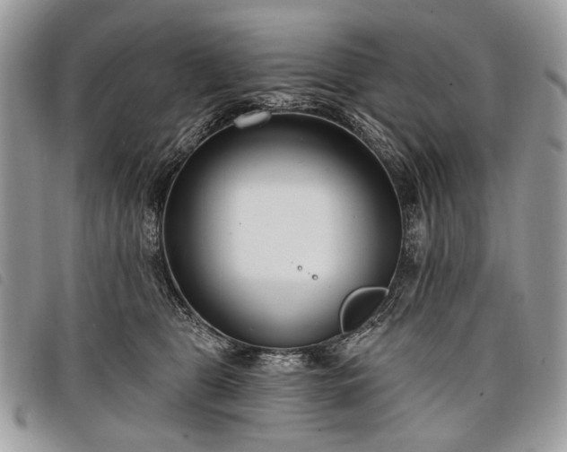 X0000098050469200804071512