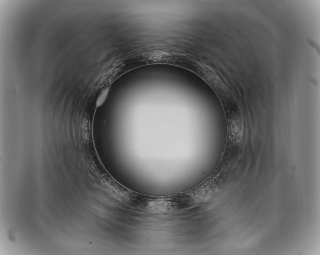 X0000098050470200804071512