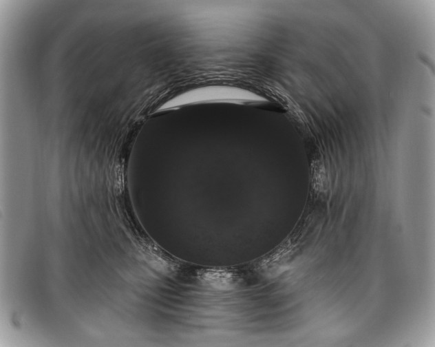 X0000098050471200804071512