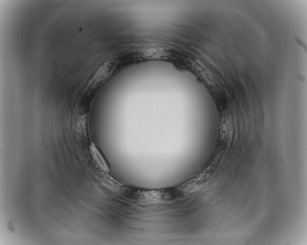 X0000098050473200804071512