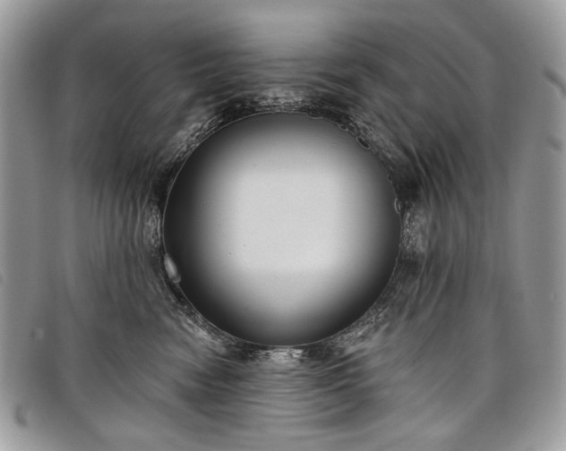 X0000098050474200804071512