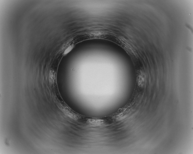 X0000098050476200804071512