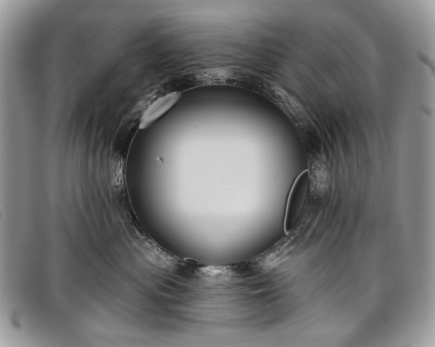 X0000098050477200804071512