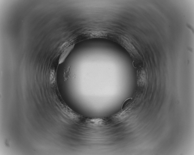 X0000098050478200804071512