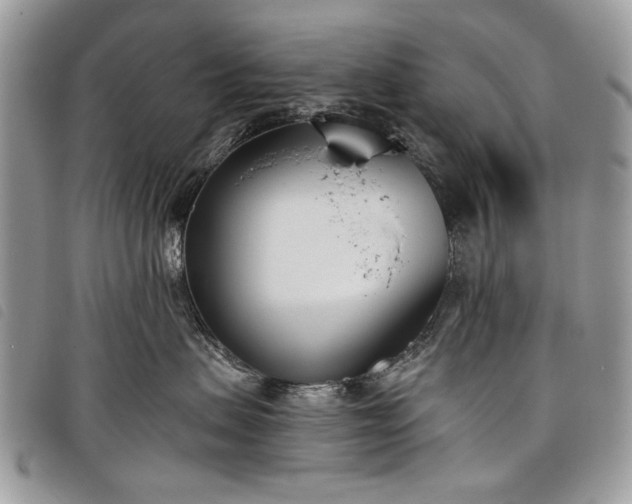 X0000098050479200804071512