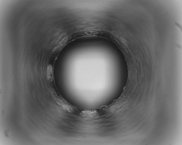 X0000098050480200804071512