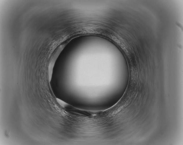 X0000098050481200804071511