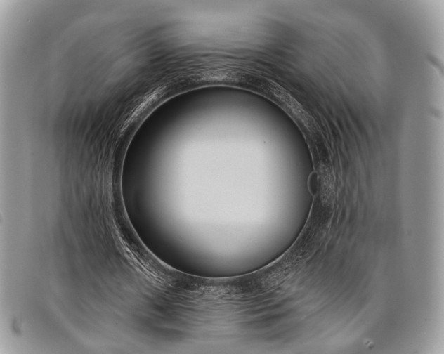 X0000098050482200804071511