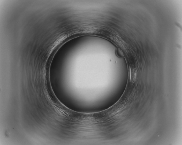 X0000098050483200804071511