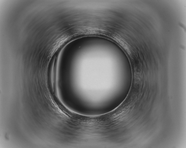 X0000098050485200804071511