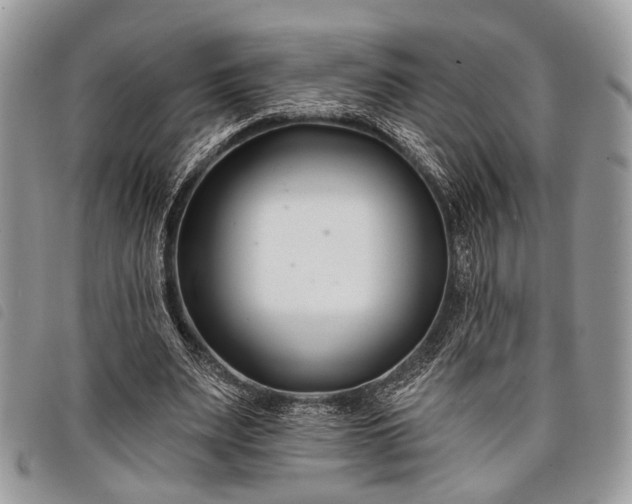 X0000098050487200804071511