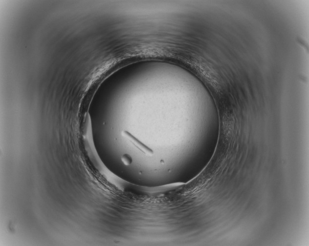 X0000098050488200804071511