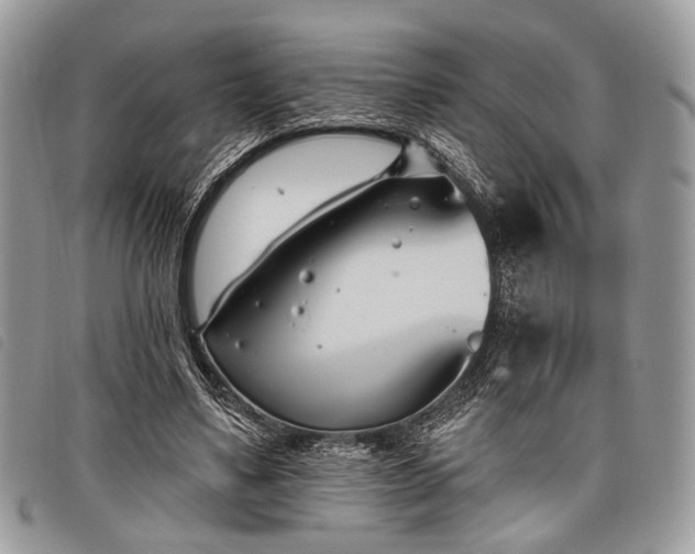 X0000098050491200804071511