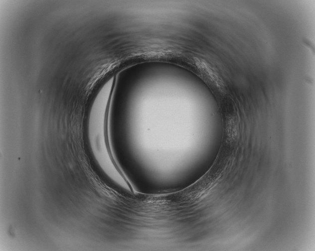 X0000098050495200804071511