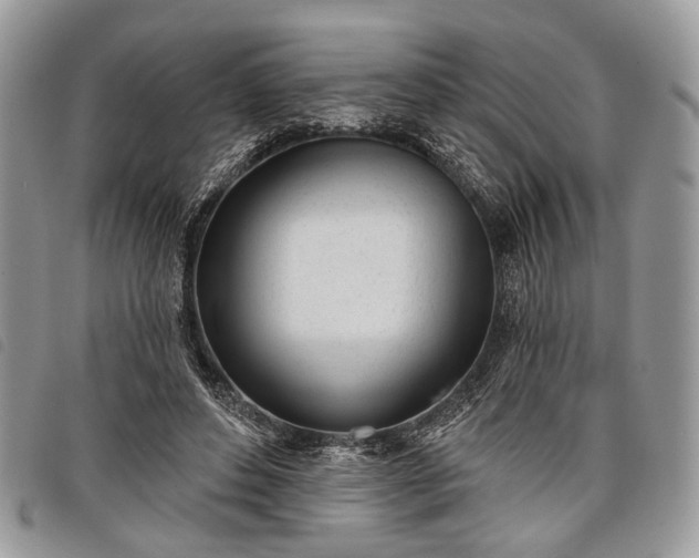 X0000098050496200804071511