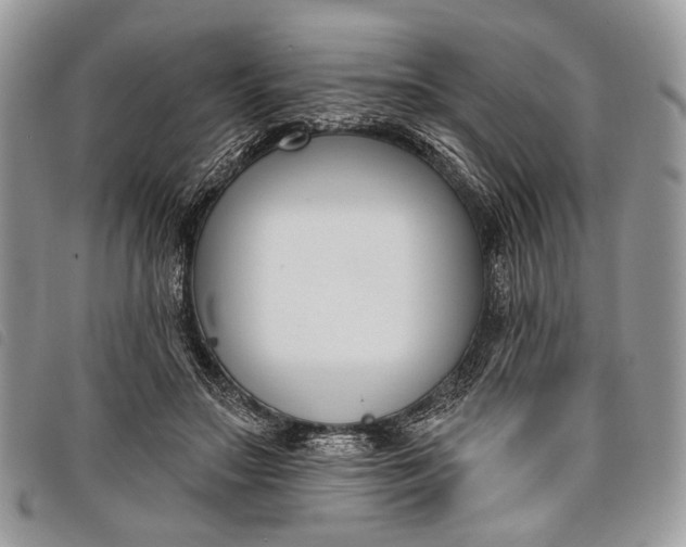 X0000098050499200804071511