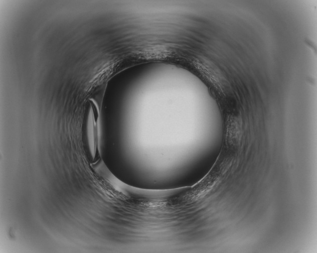 X0000098050501200804071511