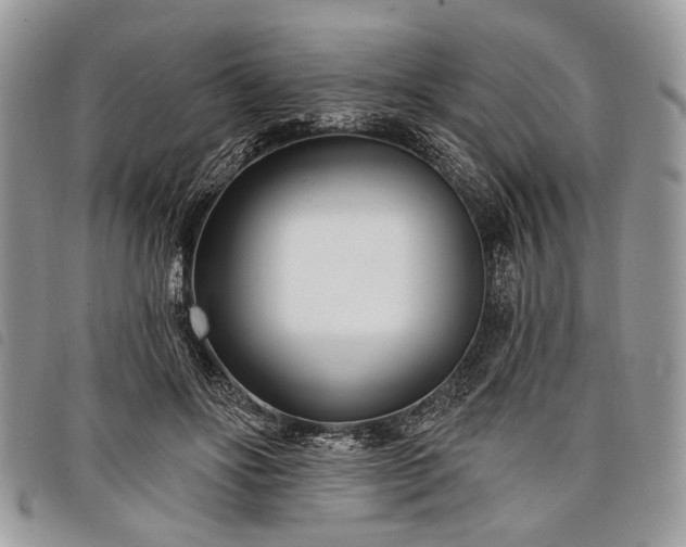 X0000098050502200804071511