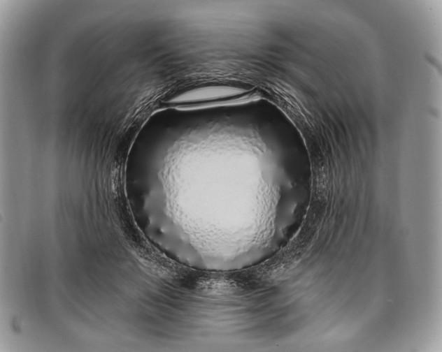 X0000098050503200804071511