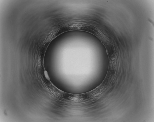 X0000098050504200804071511