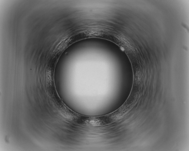 X0000098050506200804071511