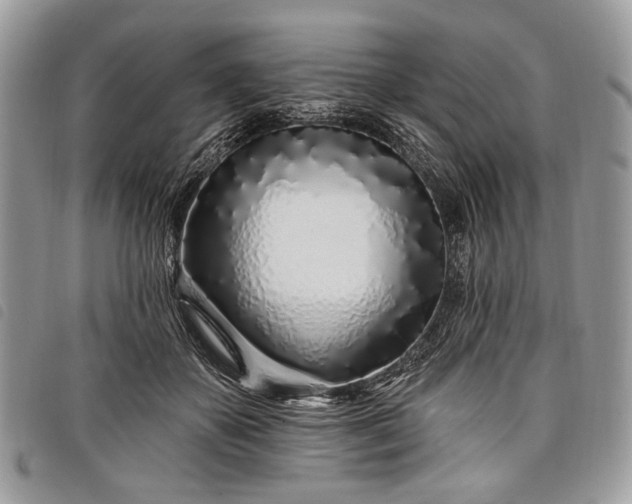 X0000098050507200804071511