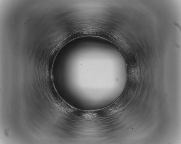 X0000098050508200804071511