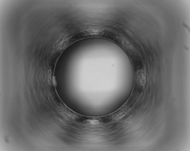 X0000098050509200804071511