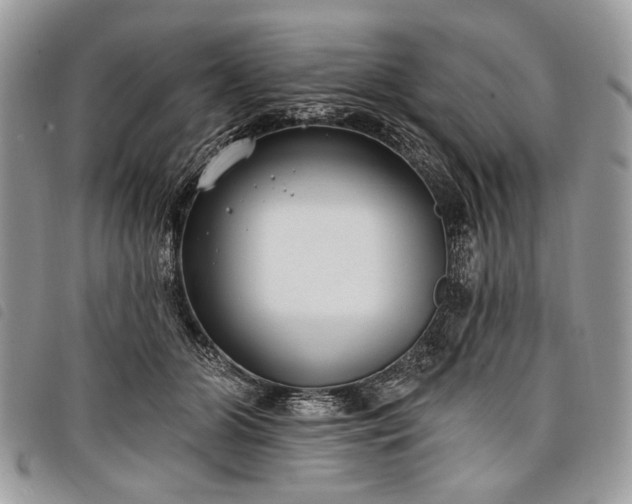 X0000098050510200804071511