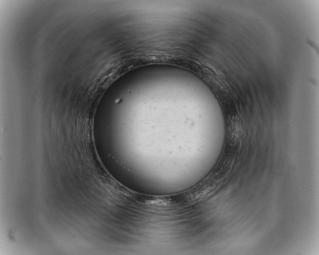 X0000098050511200804071511