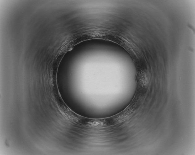 X0000098050512200804071511