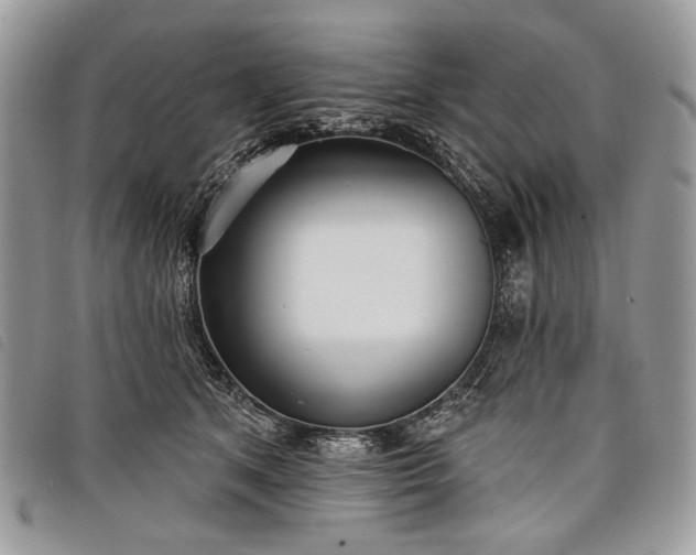 X0000098050513200804071511