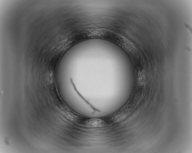 X0000098050514200804071511