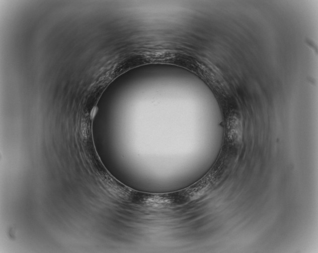 X0000098050515200804071511