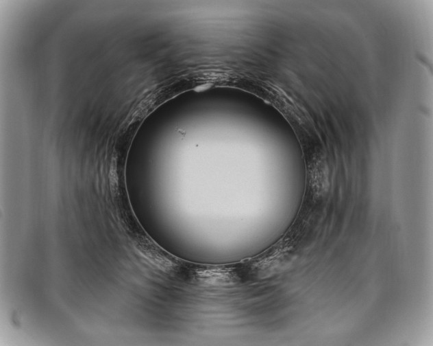 X0000098050516200804071511