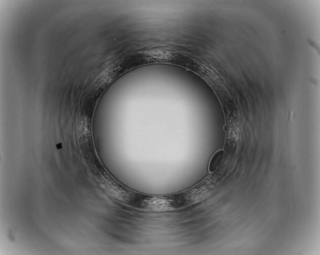 X0000098050518200804071511