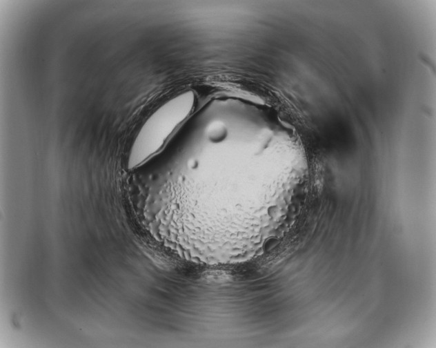 X0000098050519200804071511