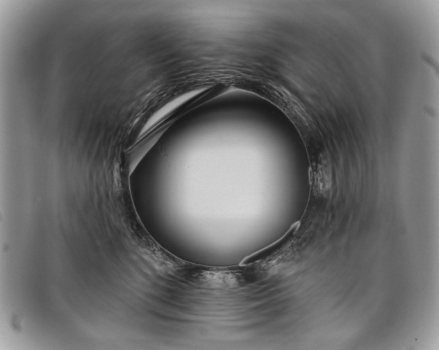 X0000098050520200804071511