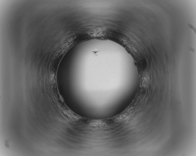 X0000098050521200804071511