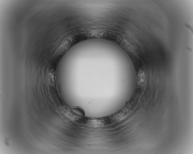 X0000098050522200804071511