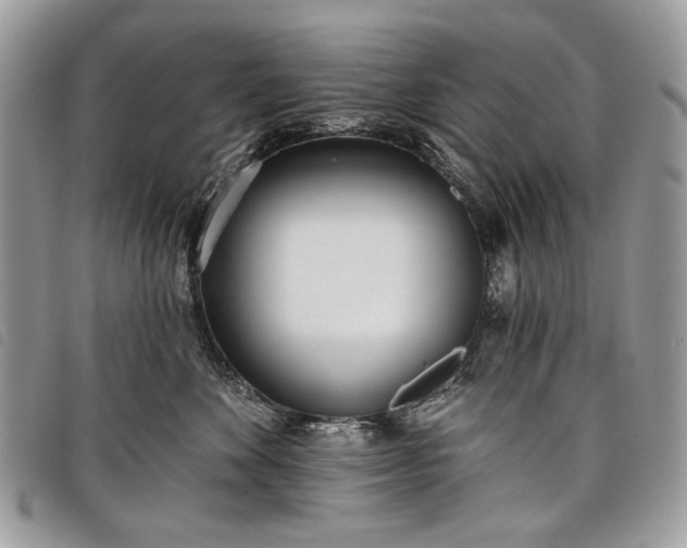 X0000098050524200804071511