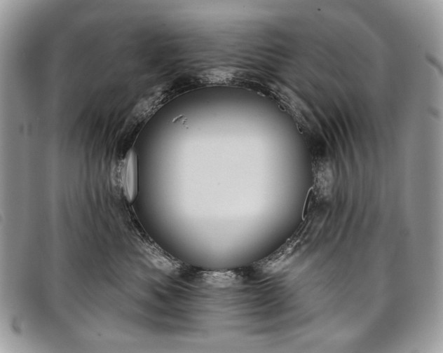 X0000098050525200804071511