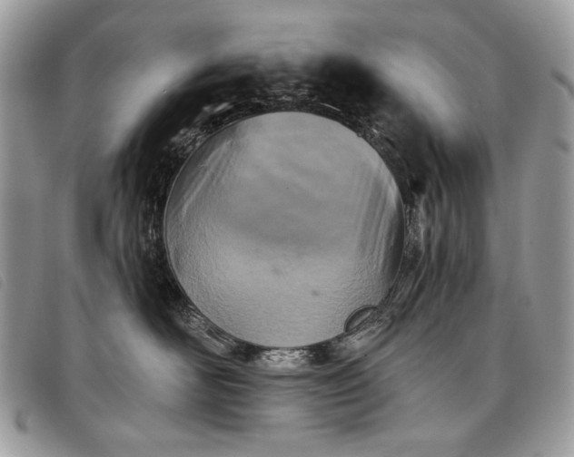 X0000098050526200804071511